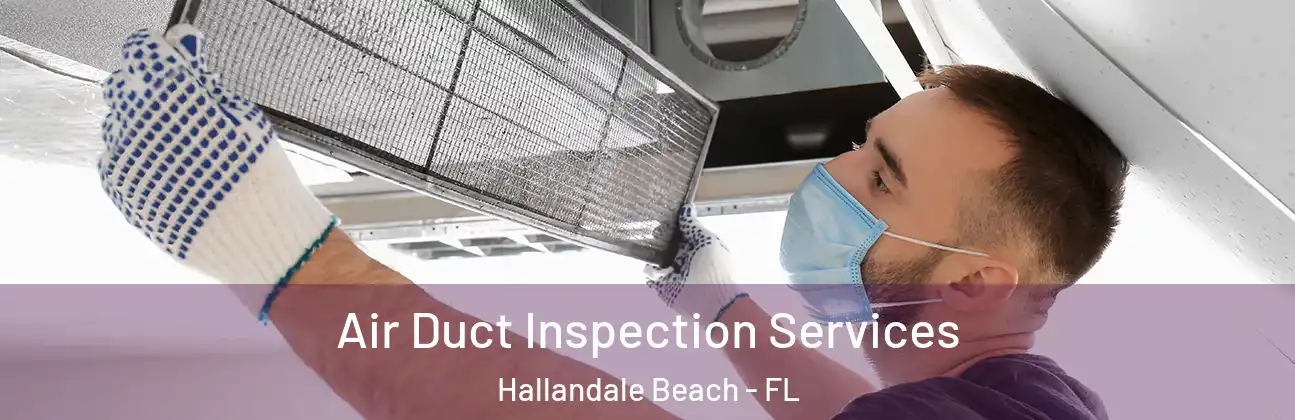  Air Duct Inspection Services Hallandale Beach - FL