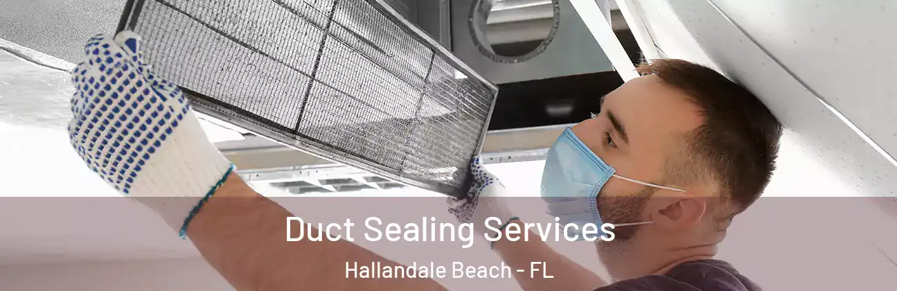  Duct Sealing Services Hallandale Beach - FL